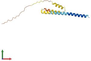 AlphaFold protein structure predicition of Human Recombinant IFITM1 Protein, UniprotID P13164 (IFITM1 Protein (AA 1-125) (His tag))