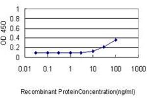Detection limit for recombinant GST tagged REN is approximately 1ng/ml as a capture antibody. (Renin 抗体  (AA 24-406))