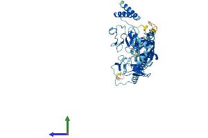 Protein Structure (PS) image for RanBP-Type and C3HC4-Type Zinc Finger Containing 1 (RBCK1) (AA 1-510) protein (His tag) (ABIN7554122)