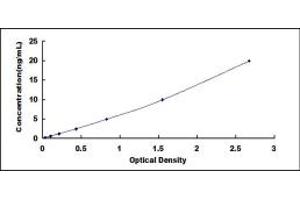 Typical standard curve (Contactin 1 ELISA 试剂盒)