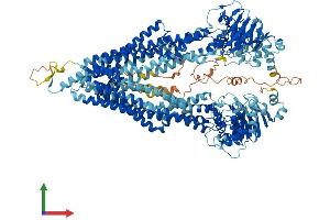 AlphaFold protein structure predicition of Human Recombinant ABCB11 Protein, UniprotID O95342 (ABCB11 Protein (AA 1-1321) (His tag))