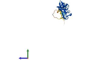 AlphaFold protein structure predicition of Human Recombinant LMO4 Protein, UniprotID P61968 (LMO4 Protein (AA 1-165) (His tag))