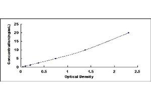 Typical standard curve (IL-6 Receptor ELISA 试剂盒)