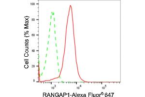 Flow cytometric analysis of RANGAP1 expression in Hela cells using RANGAP1 antibody (ABIN7800128), 1:2,000).