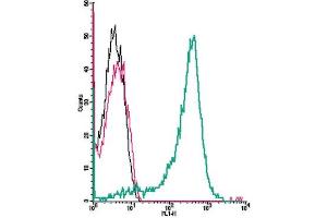 Cell surface detection of Adenosine A3 Receptor by direct flow cytometry in live intact mouse  B lymphocyte cell line: + Rabbit IgG isotype control-FITC.