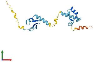 Protein Structure (PS) image for CGG Triplet Repeat Binding Protein 1 (CGGBP1) (AA 1-167) protein (His tag) (ABIN7553362)