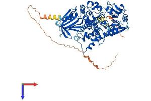 AlphaFold protein structure predicition of Human Recombinant MTMR2 Protein, UniprotID Q13614 (MTMR2 Protein (AA 1-643) (His tag))