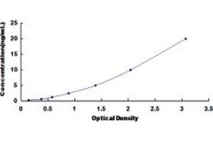 Typical standard curve (PERK ELISA 试剂盒)