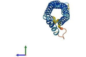 AlphaFold protein structure predicition of Human Recombinant CNIH3 Protein, UniprotID Q8TBE1