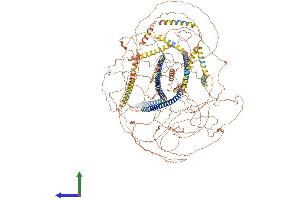AlphaFold protein structure predicition of Human Recombinant NES Protein, UniprotID P48681