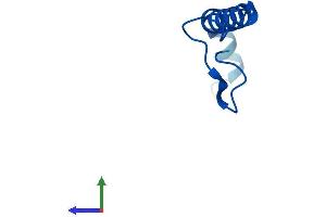 AlphaFold protein structure predicition of Human Recombinant NDUFB1 Protein, UniprotID O75438