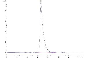 Size-exclusion chromatography-High Pressure Liquid Chromatography (SEC-HPLC) image for Cell Adhesion Molecule 1 (CADM1) (AA 48-388) protein (His tag) (ABIN7274017)