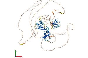 AlphaFold protein structure predicition of Human Recombinant DVL2 Protein, UniprotID O14641 (DVL2 Protein (AA 1-736) (His tag))