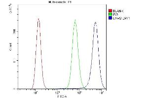 Flow Cytometry analysis of A431 cells using anti-CARS antibody (ABIN5692995). (CARS 抗体  (AA 510-748))