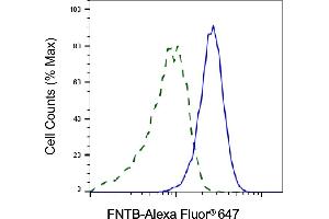 Validation of FNTB knockdown using flow cytometry. (Recombinant FNTB 抗体)