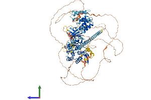 Protein Structure (PS) image for Budding Uninhibited By Benzimidazoles 1 Homolog (Yeast) (BUB1) (AA 1-1058) protein (His tag) (ABIN7562221)