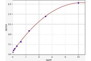 Typical standard curve (SAE1 ELISA 试剂盒)