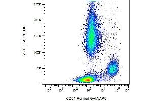 Surface staining of CD64 in human peripheral blood with anti-CD64 (10.