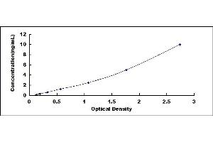 Typical standard curve (IgA Secretory Component ELISA 试剂盒)