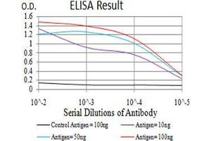Black line: Control Antigen (100 ng);Purple line: Antigen (10ng); Blue line: Antigen (50 ng); Red line:Antigen (100 ng) (Complement C3c 抗体  (AA 1521-1649))