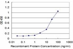 Detection limit for recombinant GST tagged RPL7 is approximately 3ng/ml as a capture antibody. (RPL7 抗体  (AA 158-248))