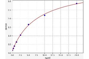 Typical standard curve (ABCC12 ELISA 试剂盒)