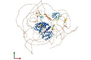 Protein Structure (PS) image for FERM and PDZ Domain Containing 4 (FRMPD4) (AA 1-1320) protein (His tag) (ABIN7561904)