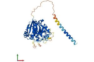 Protein Structure (PS) image for Glycosyltransferase 8 Domain Containing 1 (GLT8D1) (AA 1-371) protein (His tag) (ABIN7547949)