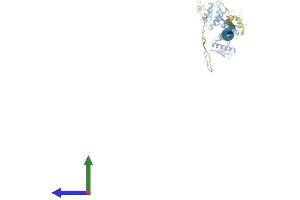 AlphaFold protein structure predicition of Human Recombinant DEF6 Protein, UniprotID Q9H4E7
