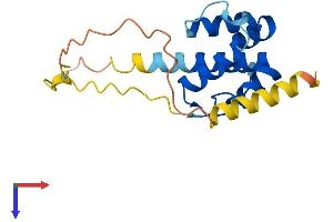 PLAC8-Like 1 (PLAC8L1) (AA 1-177) protein (His tag)