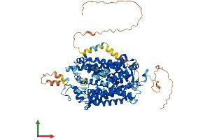 Protein Structure (PS) image for Glycine Transporter 1 (GLYT1) (AA 1-706) protein (His tag) (ABIN7555433)