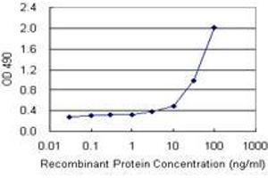 Sandwich ELISA detection sensitivity ranging from 3 ng/mL to 100 ng/mL. (TP53RK (人) Matched Antibody Pair)