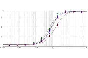 ELISA results of purified Donkey Anti-Mouse IgG Alkaline Phosphatase Conjugated Antibody tested against purified Mouse IgG.