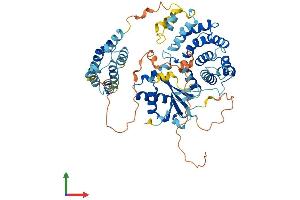 AlphaFold protein structure predicition of Human Recombinant FASTK Protein, UniprotID Q14296