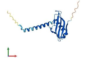 Protein Structure (PS) image for UBX Domain Protein 11 (UBXN11) (AA 1-146) protein (His tag) (ABIN7546665)