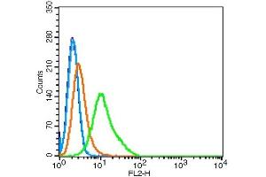 Hela cells probed with Giantin/GM130 Polyclonal Antibody, Unconjugated  at 1:100 for 30 minutes followed by incubation with a conjugated secondary (PE Conjugated) (green) for 30 minutes compared to control cells (blue), secondary only (light blue) and isotype control (orange). (Golgin B1 (GOLGB1) (AA 751-850) 抗体)