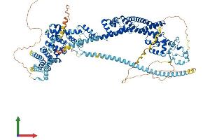 AlphaFold protein structure predicition of Mouse Recombinant Daam1 Protein, UniprotID Q8BPM0