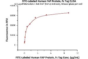 ELISA image for Fibroblast Activation Protein, alpha (FAP) (AA 26-760) (Active) protein (Fc Tag,FITC) (ABIN6973050)