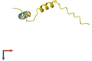 AlphaFold protein structure predicition of Human Recombinant MIR22HG Protein, UniprotID Q0VDD5