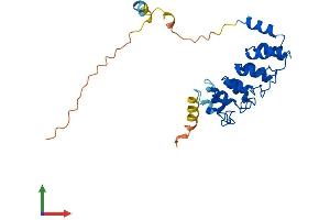 Protein Structure (PS) image for Ankyrin Repeat Domain 49 (ANKRD49) (AA 1-239) protein (His tag) (ABIN7552159)