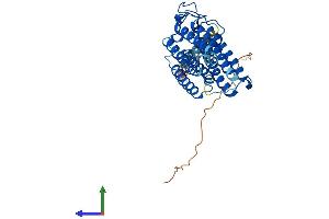 AlphaFold protein structure predicition of Human Recombinant ADIPOR1 Protein, UniprotID Q96A54