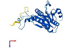 PSMA5 Protein (AA 1-241) (His tag)