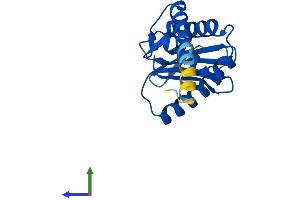 Protein Structure (PS) image for Adaptor-Related Protein Complex 1, sigma 2 Subunit (AP1S2) (AA 1-160) protein (His tag) (ABIN7561261)