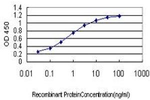 Detection limit for recombinant GST tagged FLT4 is approximately 0. (FLT4 抗体  (AA 34-133))