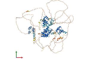 Protein Structure (PS) image for Zinc Fingers and Homeoboxes 1 (ZHX1) (AA 1-873) protein (His tag) (ABIN7556131)