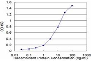 Detection limit for recombinant GST tagged BIN1 is approximately 0. (BIN1 抗体  (AA 355-454))