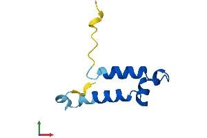 Protein Structure (PS) image for Cytochrome C Oxidase Assembly Factor 5 (COA5) (AA 1-74) protein (Fc Tag) (ABIN7546541)