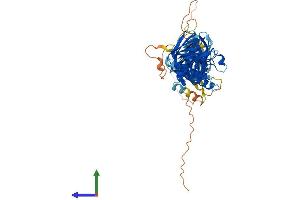 Protein Structure (PS) image for Syntrophin, gamma 2 (SNTG2) (AA 1-539) protein (His tag) (ABIN7560268)