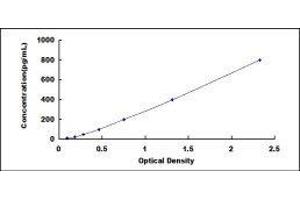 CD46 (CD46) ELISA Kit