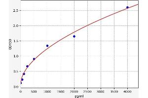 Typical standard curve (IL2 Receptor beta ELISA 试剂盒)